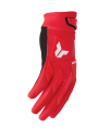 544531_V1.png