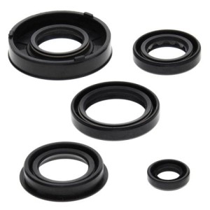 WINDEROSA (VERTEX) KOMPLET (ZESTAW) USZCZELNIACZY SILNIKOWYCH ARCTIC CAT 50 Y-6 04-05, 90 2-STROKE 02-04, 90 UTILITY 2X4 06, CAN-AM DS 50 02-04, QUEST 50 03