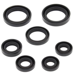 WINDEROSA (VERTEX) KOMPLET (ZESTAW) USZCZELNIACZY SILNIKOWYCH HONDA TRX350FE 00-06, TRX350FM FOURTRAX RANCHER 00-06, TRX350TE 00-06, TRX350TM FOURTRAX RANCHER 00-06