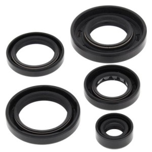 WINDEROSA (VERTEX) KOMPLET (ZESTAW) USZCZELNIACZY SILNIKOWYCH ARCTIC CAT 650 4X4 H1 07-11, 650 H1 LTD 05-07, 650 H1 MUDPRO 10-11, 650 TRV 07-08, 650 TRV LTD 07
