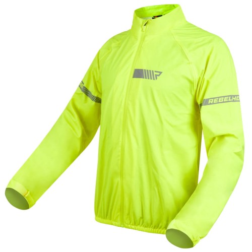 239575_ZAL473033.jpg